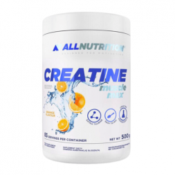 Creatine Muscle MAX All Nutrition (500гр)