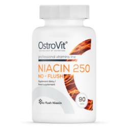 Niacin 250 NO-FLUSH OstroVit (90 табл)